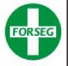 Forseg Ltda